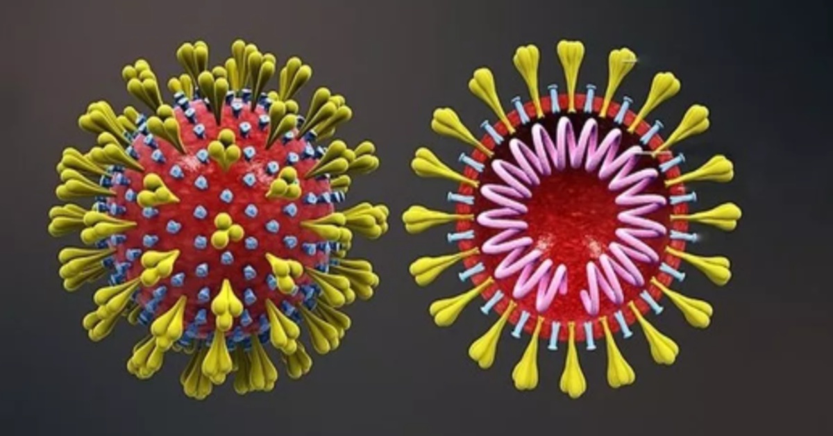 CORONAVÍRUS: Cientistas criam anticorpos em laboratório que podem