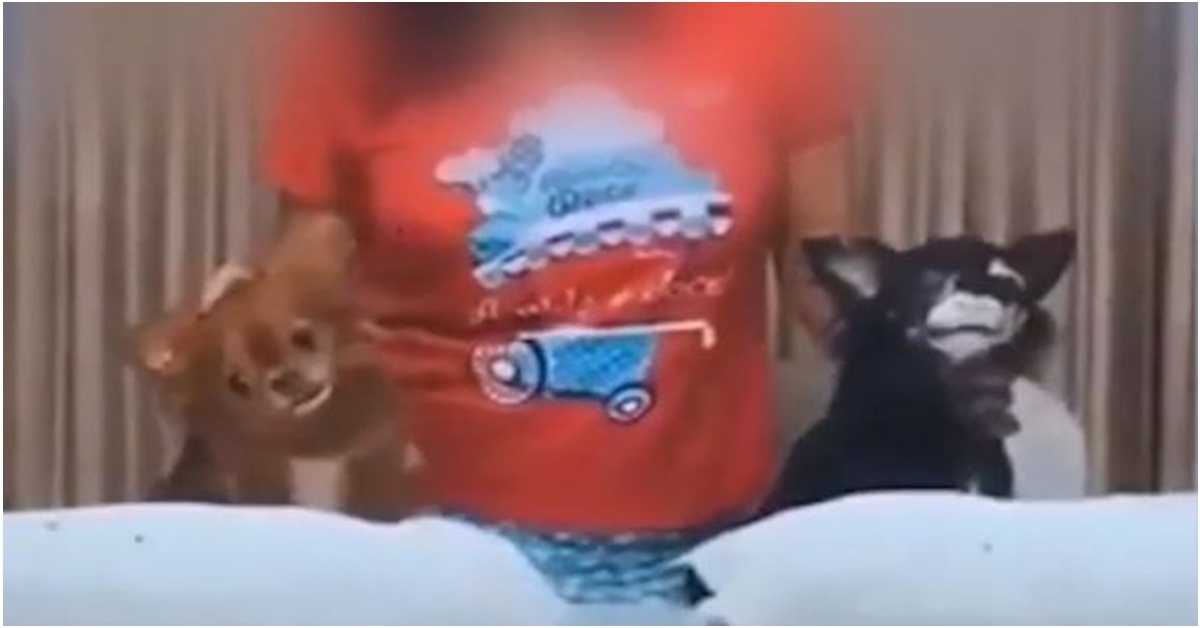 Mulher causa revolta nas redes sociais ao fazer o desafio da farinha