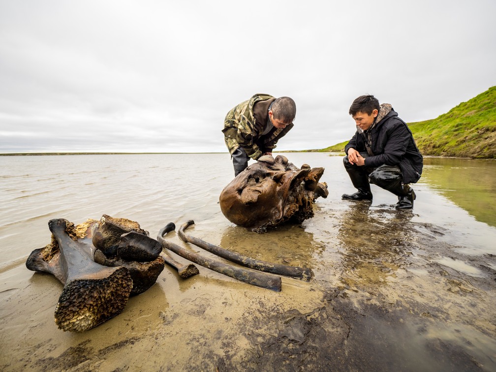 Esqueleto bem preservado de mamute é encontrado em lago no Ártico russo