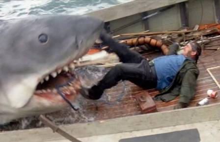 Tubarão ataca barco e puxa menino de 10 anos para o mar