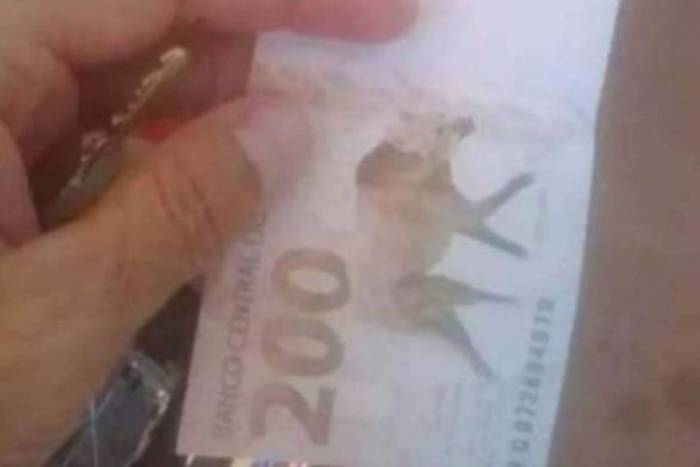 Nota de R$ 200: Defensoria Pública recorre à Justiça para que Banco Central retire cédulas de circulação
