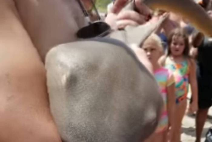 Vídeo: homem é atacado por tubarão, e animal fica preso com os dentes