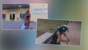 Música de Wesley Safadão e