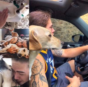 Whindersson Nunes e Maria Lina adotam cão resgatado que sobreviveu por milagre