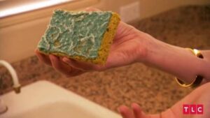 Americana com R$ 30 milhões na conta come ração para gatos a fim de não estourar o orçamento mensal