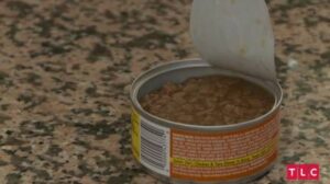 Americana com R$ 30 milhões na conta come ração para gatos a fim de não estourar o orçamento mensal