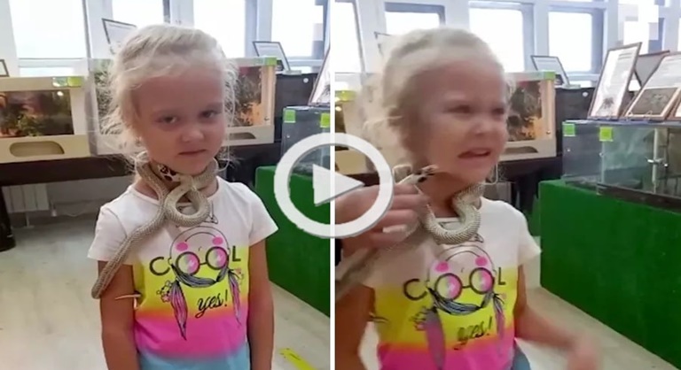 Vídeo! Menina de 2 anos é mordida por cobra e para revidar ela mordeu de volta