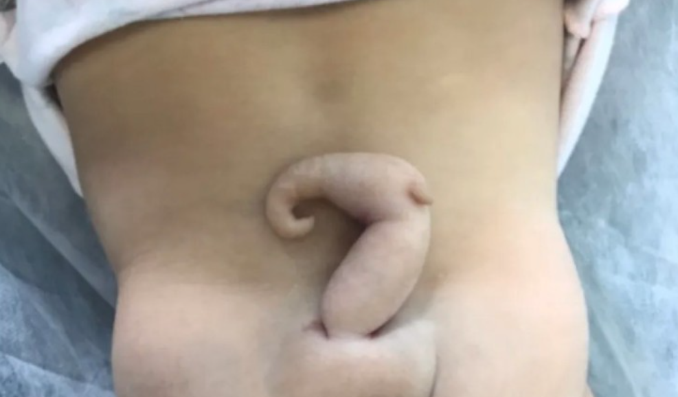 Reprodução da internet.