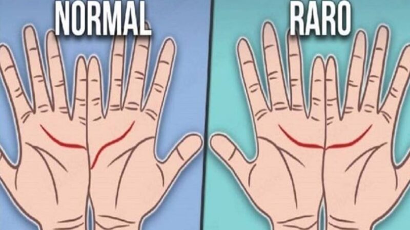 Junte as palmas das mãos e saiba o significado das duas linhas se unirem…Ver mais