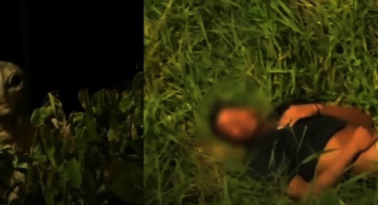 O vídeo mostra o momento em que um garoto desmaia ao se deparar com um suposto ser extraterrestre. FOTO: internet.