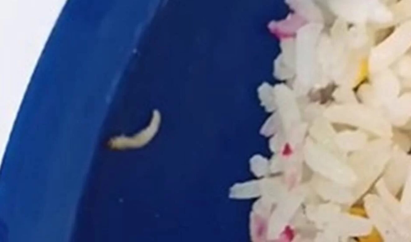 Estudantes de escolas públicas do Distrito Federal foram surpreendidos ao flagrarem larvas em suas refeições da merenda. FOTO: internet