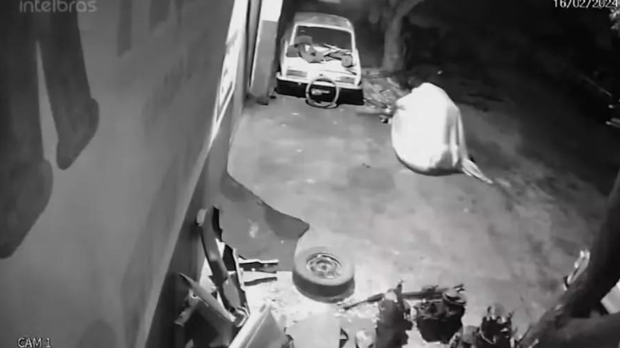 “Fantasma” Flagrado em Câmeras de Segurança Cometendo Furto em Empresa Automotiva