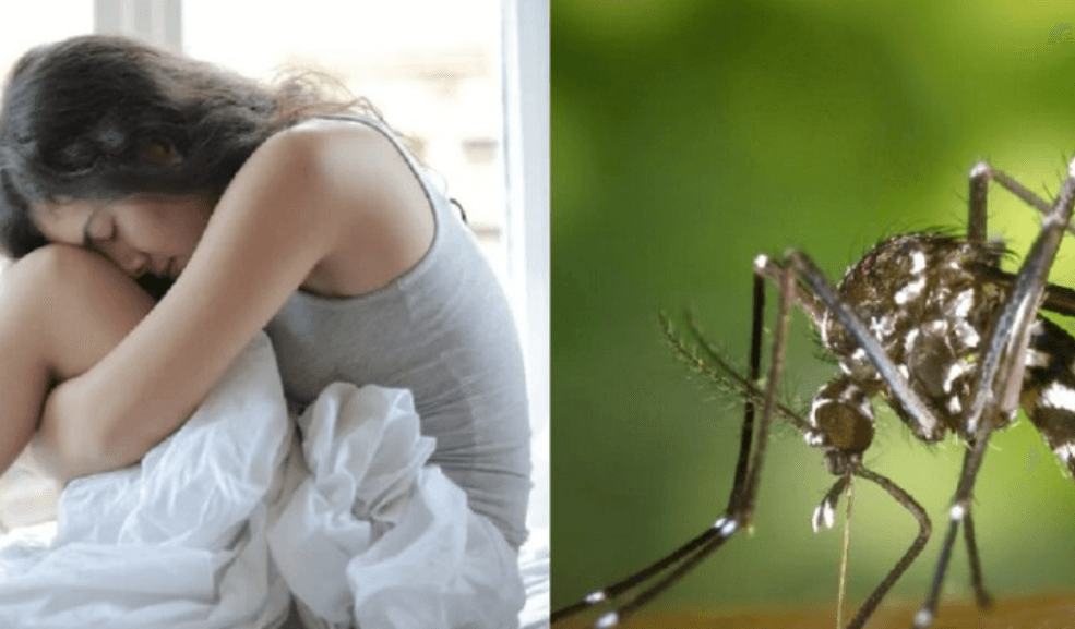 O Brasil encontra-se em um estado de alerta diante da crescente incidência de casos de dengue no país. FOTO: internet