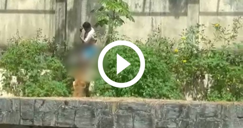 Autópsia após ataque da leoa Leona em João Pessoa: protocolos, curiosidade e repercussão nacional